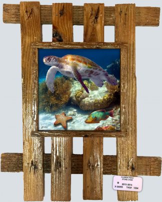 "Turtle and Starfish in the Sand"