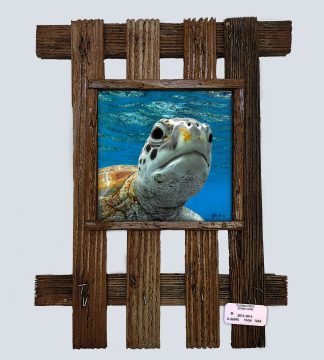 "Turtle Head 77"