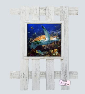 "Turtle in a Coral Garden"