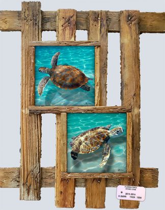 "Turtles"