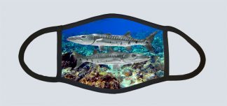 "Barracuda Duo"