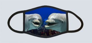 "Dolphin Duo"