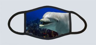 "Dolphin Up Close"