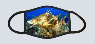"Hogfish"