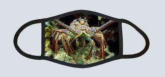"Lobster on a Ledge"
