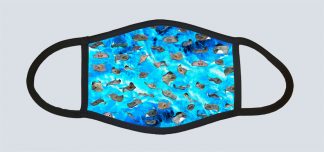"Stingray with Ocean"