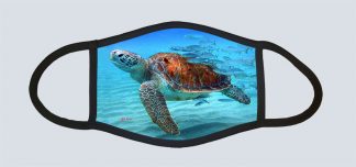 "Turtle and Goggle Eye"